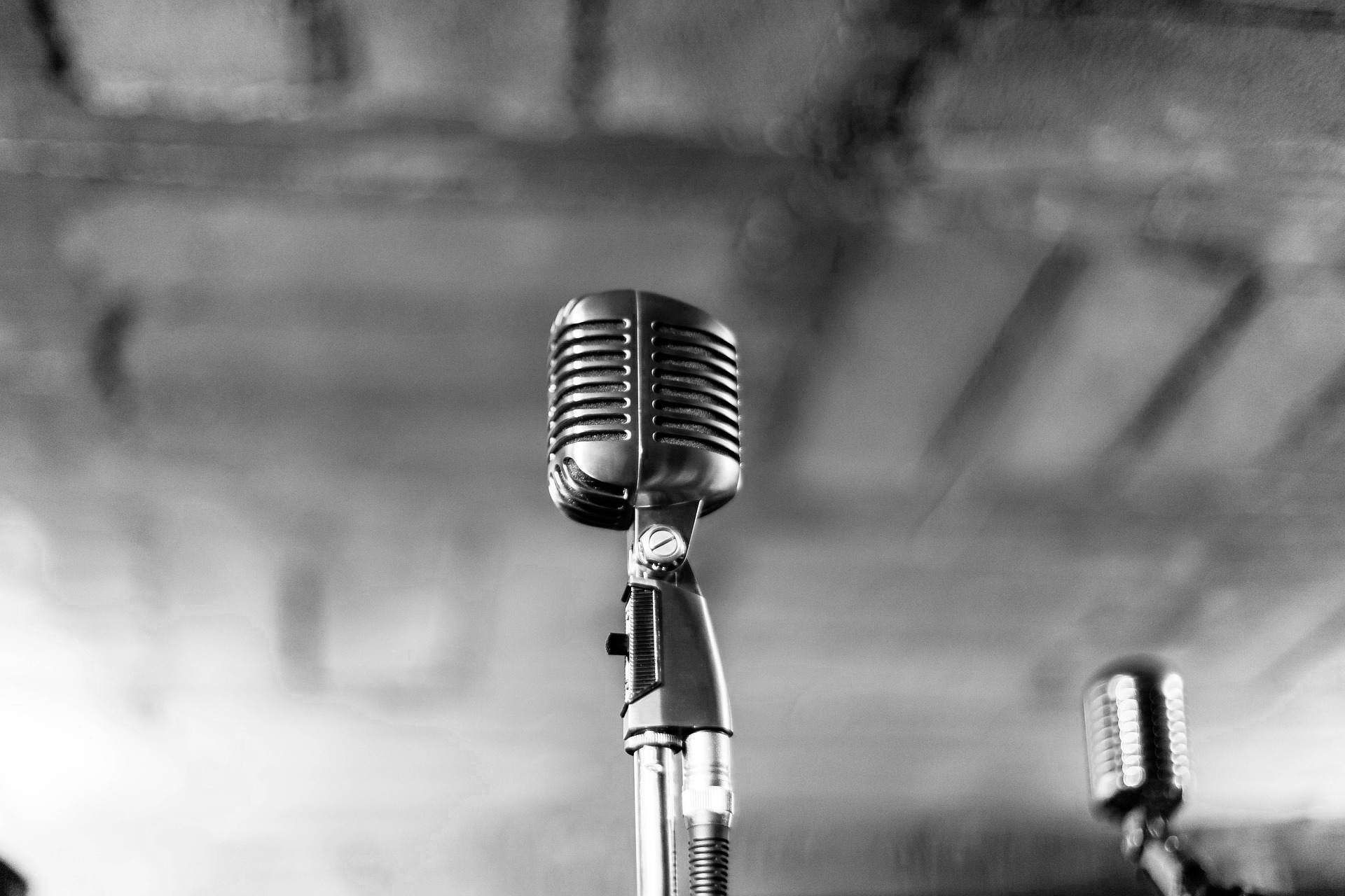 Binu Vocal Trainer Mic image